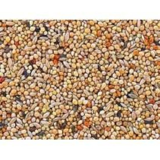 prix graines perruches 25 kg top qualite en déstockage, grossiste acheter graines perruches 25 kg top qualite en vente en ligne