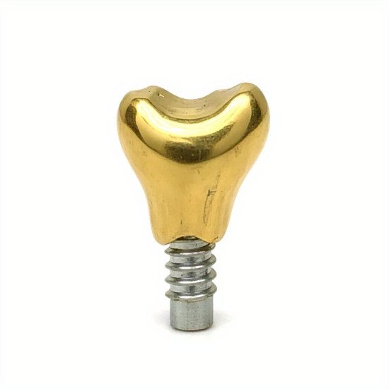 prix implants d or chien prix en déstockage, grossiste acheter implants d or chien prix en vente en ligne
